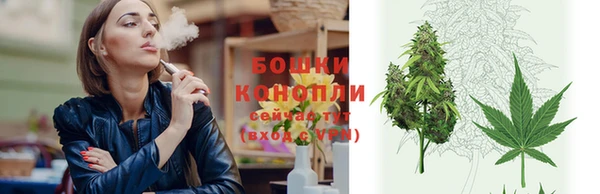 2c-b Елабуга