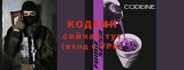 МДПВ Елизово