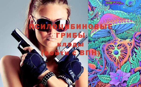 МДПВ Елизово