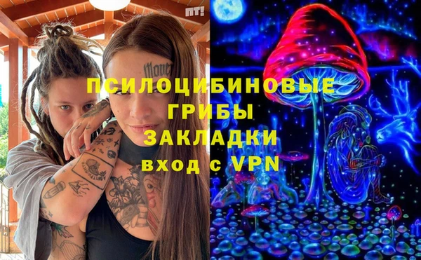 2c-b Елабуга