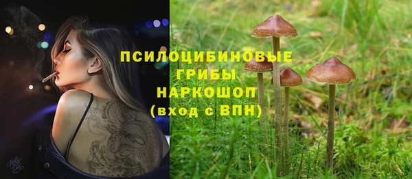 2c-b Елабуга