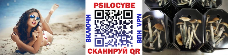 Купить где  Озёрск  Псилоцибиновые грибы ЛСД 